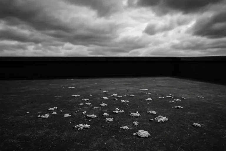 Toit plat avec fientes de pigeon visibles, ciel nuageux, en noir et blanc.